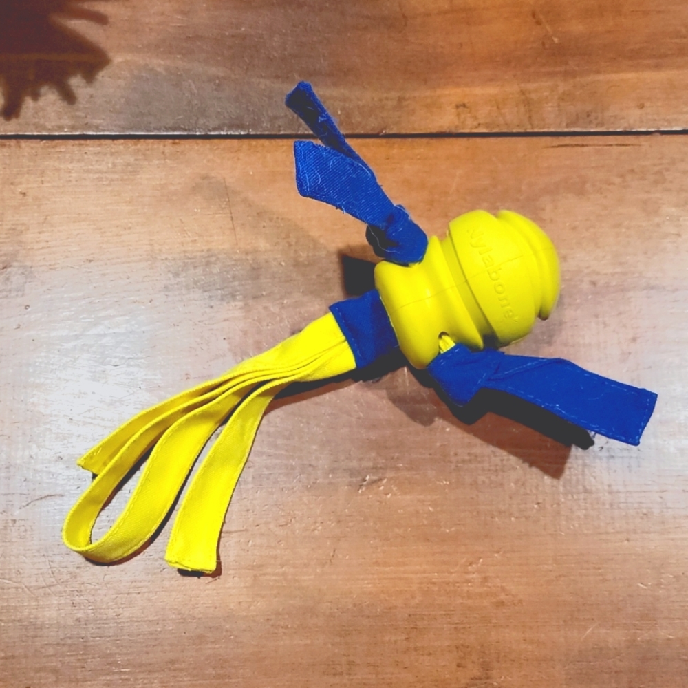 Nylabone Lightly Used Dog Toy